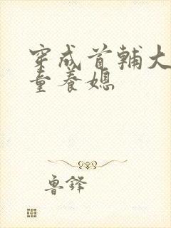 穿成首辅大人的童养媳封面