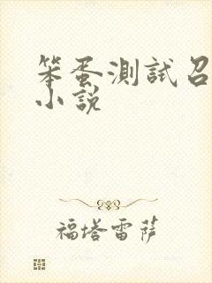 笨蛋测试召唤兽小说