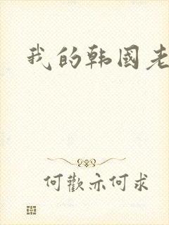我的韩国老婆封面