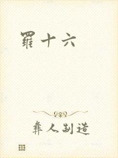 罗十六封面