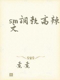 sm调教高辣h文