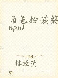 角色扮演系统(npn)封面