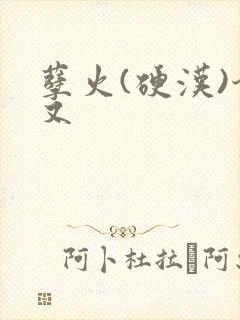 孽火(硬汉)今又