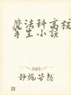 魔法科高校的劣等生小说