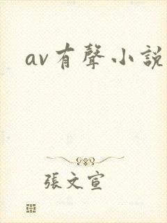av有声小说
