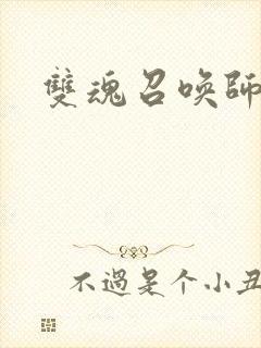 双魂召唤师封面