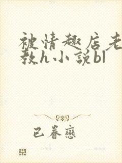 被情趣店老板调教h小说bl封面