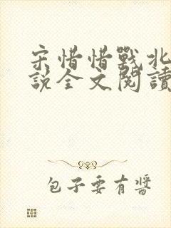 宋惜惜战北望小说全文阅读