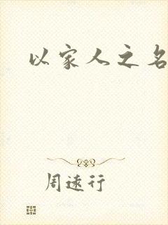 以家人之名小说