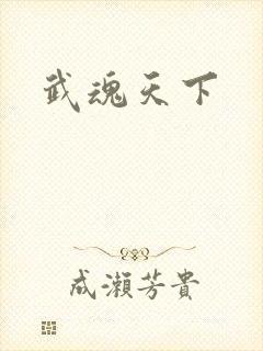 武魂天下