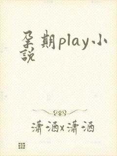 孕期play小说封面