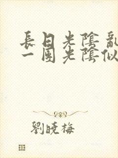 长日光阴 乱作一团光阴似箭封面