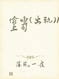 偷吃(出轨)h上司