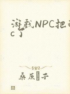 游戏NPC把我c了