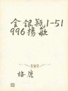 金银瓶1-51996杨敏封面