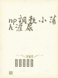 np调教小荡货h灌尿