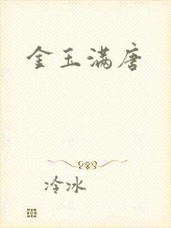 金玉满唐封面