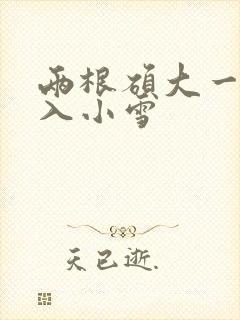 两根硕大一起挤入小雪