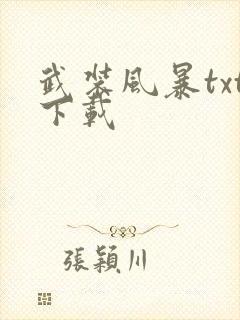 武装风暴txt下载