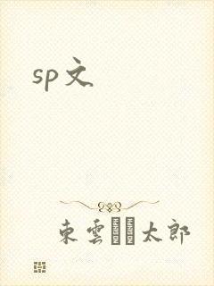 sp文封面