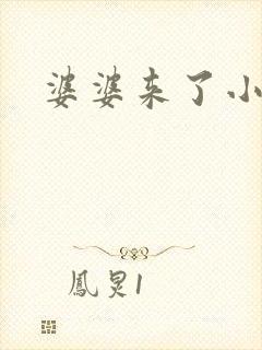 婆婆来了小说封面