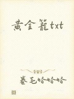 黄金笼txt