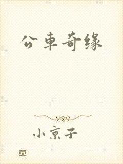 公车奇缘