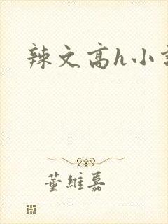 辣文高h小说封面