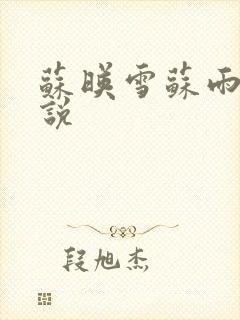 苏映雪苏雨柔小说封面