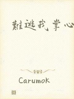 难逃我掌心封面