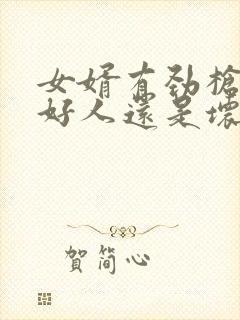 女婿有劲枪枪是好人还是坏人封面