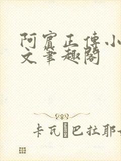 阿宾正传小说全文笔趣阁