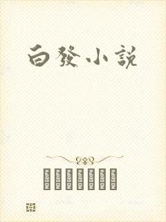 白发小说