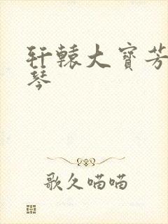 轩辕大宝芳菲雅琴