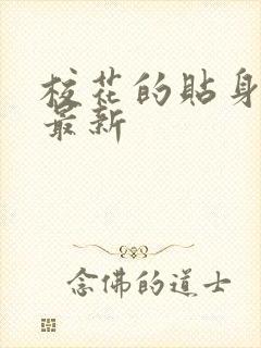 校花的贴身高手最新封面