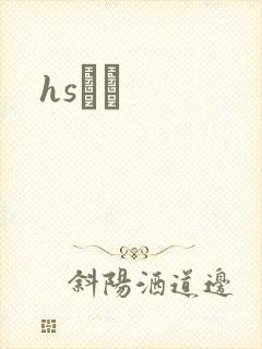 hsС˵封面