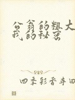 公翁的粗大放进我的秘密