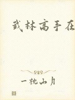 武林高手在异界