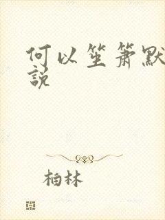 何以笙箫默 小说