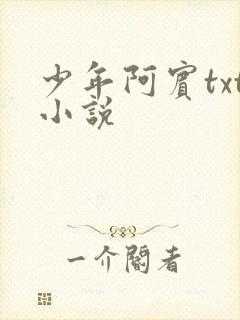 少年阿宾txt小说封面