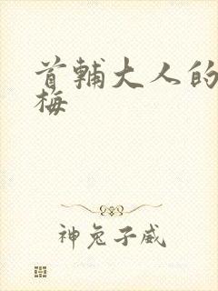 首辅大人的小青梅