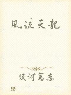 风流天龙