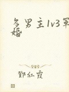 多男主1v3军婚