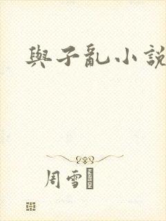 与子乱小说