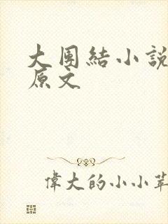 大团结小说阅读原文