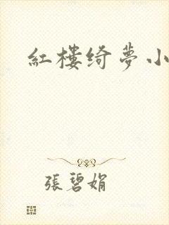 红楼绮梦小说封面