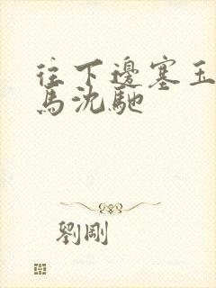 往下边塞玉器骑马沈驰