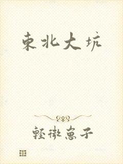 东北大坑封面