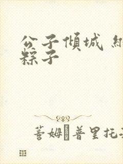 公子倾城 维和粽子封面