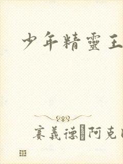 少年精灵王封面